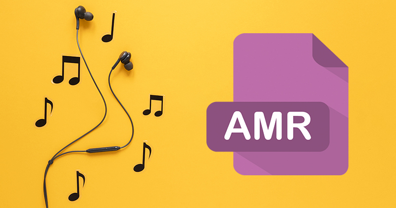 AMR Player cung cấp tùy chọn mã hóa