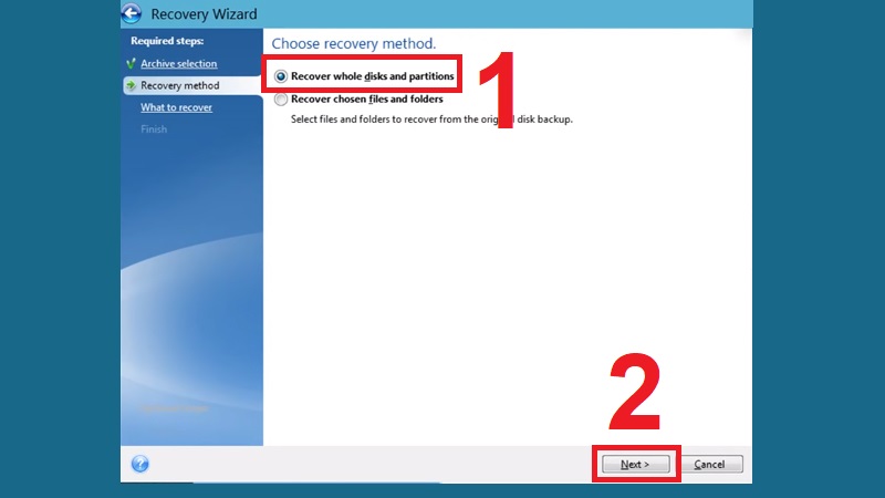 Chọn Recover whole disk and partitions và nhấn Next