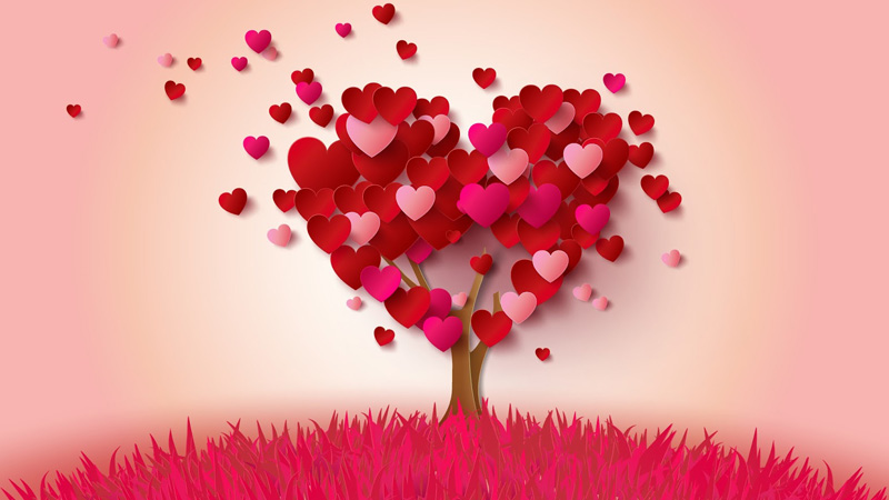 I looked at your fare… my heart jumped all over the place