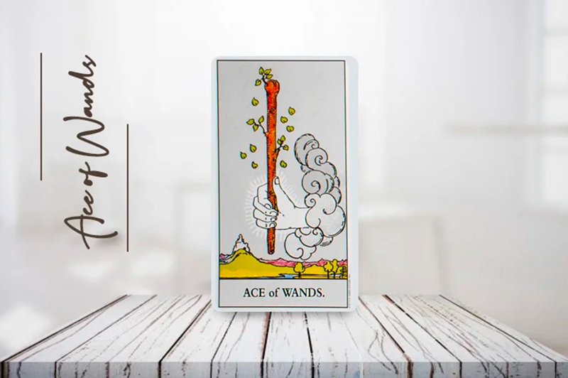 Ace Of Wands trong tình yêu