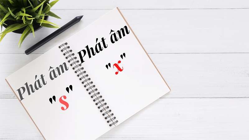 Việc sai chính tả và nhầm lẫn giữa hai từ xử lý và sử lý có nhiều nguyên nhân khác nhau
