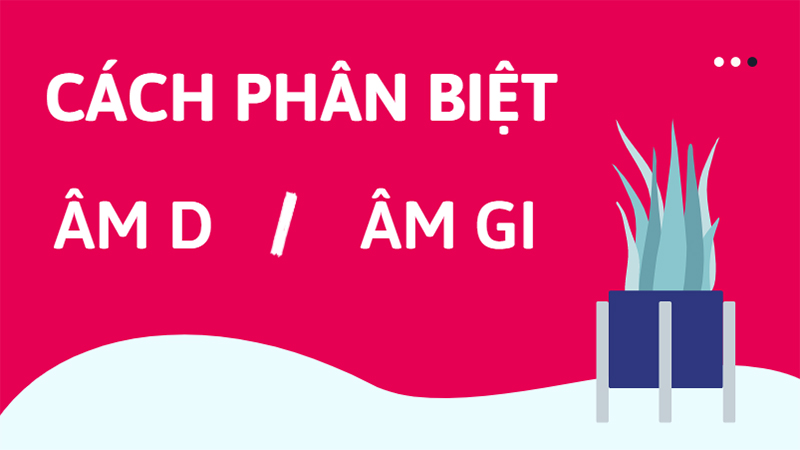Cách phân biệt âm d và âm gi