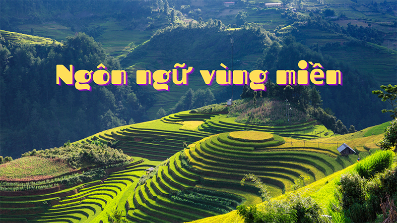 Sự khác biệt ngôn ngữ vùng miền là một trong những nguyên nhân dẫn đến nhầm lẫn