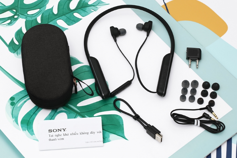Tai nghe Thể Thao Sony WI-1000XM2
