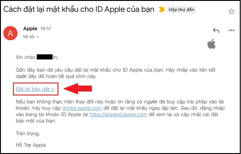 Mở hộp mail và chọn Đặt lại bây giờ 