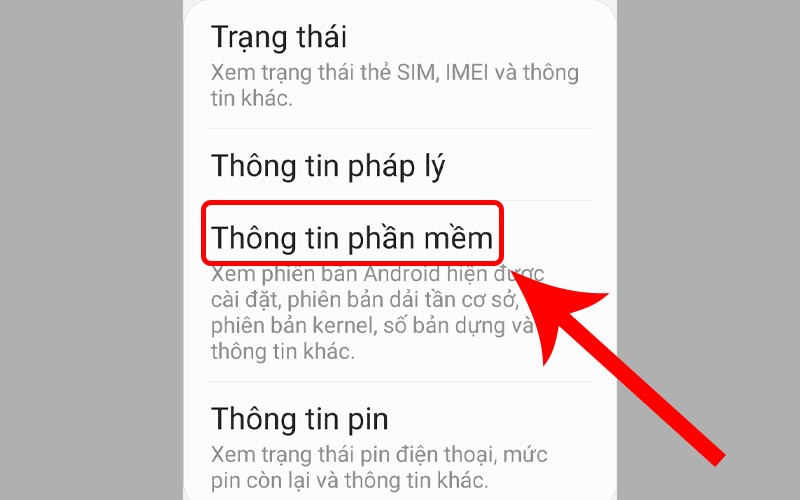 Chọn mục Thông tin phần mềm