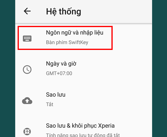Bước 3: Chọn Ngôn ngữ và nhập liệu.