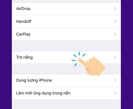 Chọn Trợ năng