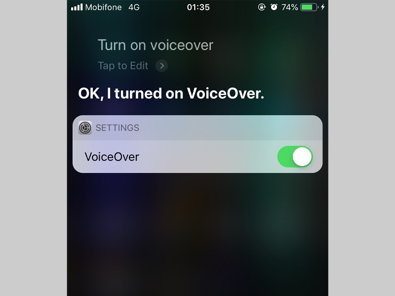 Ra lệnh trurn on VoiceOver