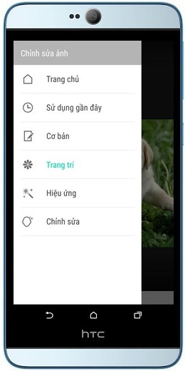 Các tùy chọn