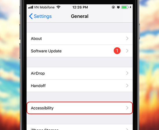 General > Accessibility