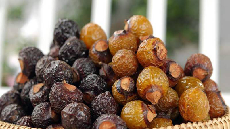 Bồ hòn có tác dụng làm trắng và sạch ốp điện thoại tương tự như chanh hay giấm