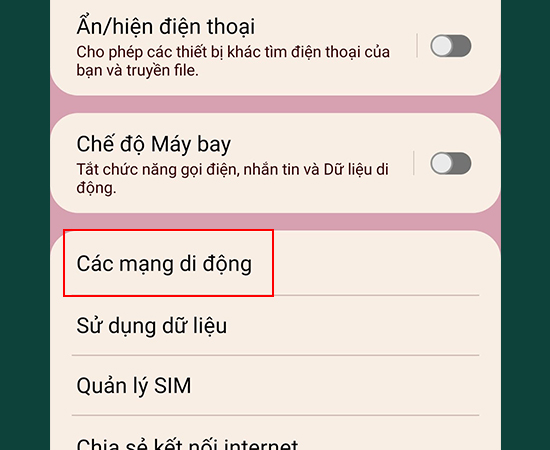 Bước 2: Chọn mục Các mạng di động.