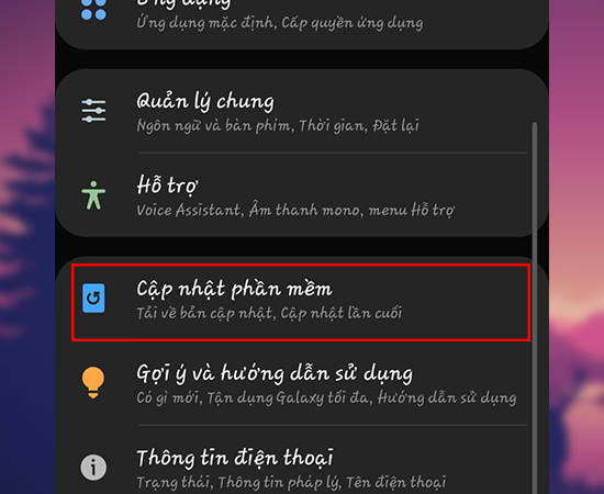 Bước 2: Sau đó chọn tiếp Cập nhật phần mềm.