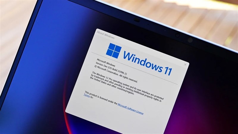 Có khả năng nâng cấp lên Windows 11