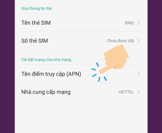 vào Tên điểm truy cập (APN)