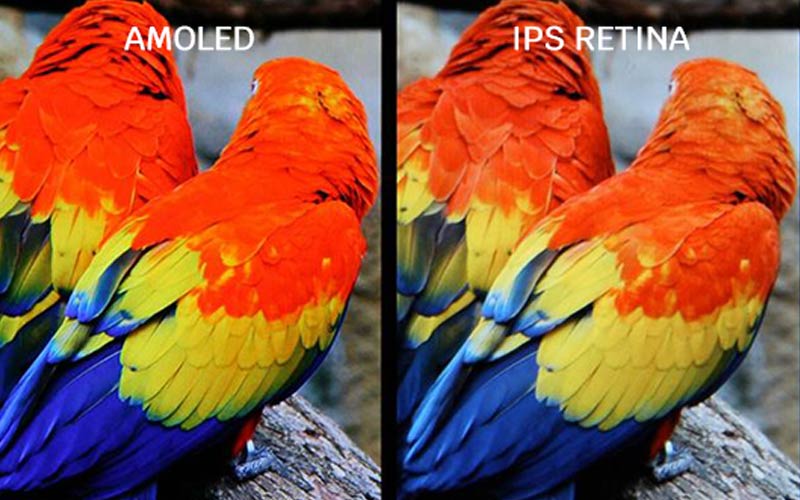 So sánh giữa màn hình AMOLED và màn hình Retina IPS.