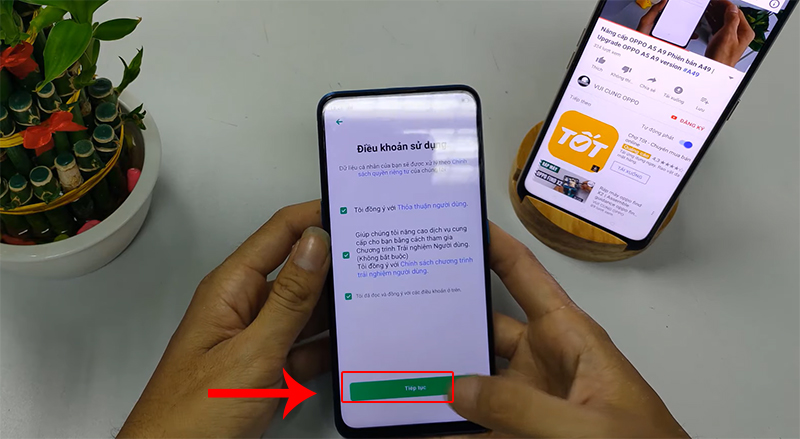 Tại giao diện Điều khoản sử dụng, chọn Tiếp tục