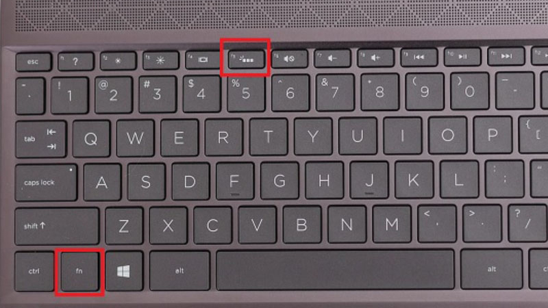 Đối với laptop HP, bạn bật đèn bàn phím thông qua tổ hợp phím Fn + Space