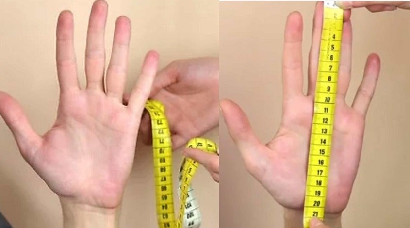 Đo chiều dài bàn tay