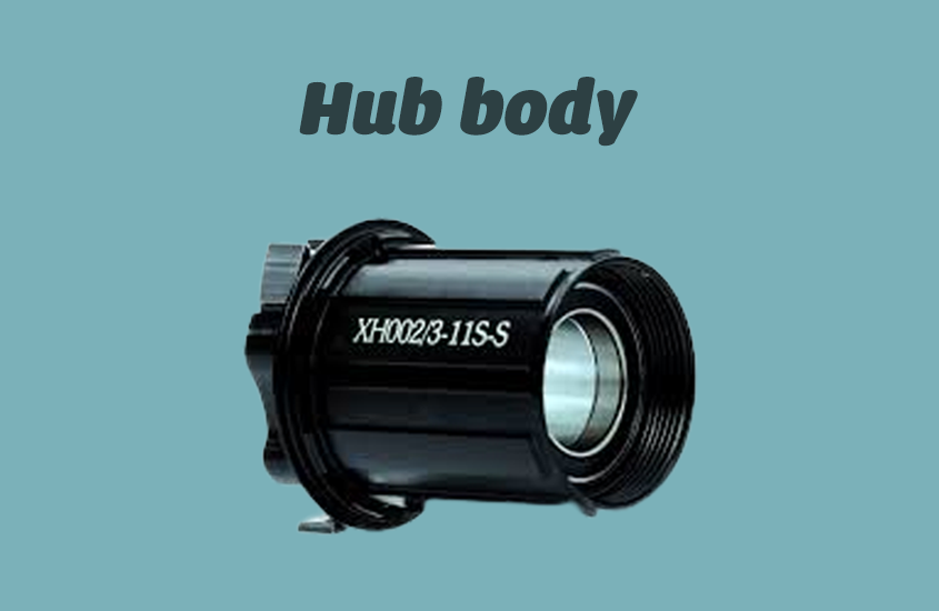 Hub body