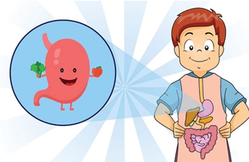 HMP cải thiện tình trạng tiêu chảy ở trẻ