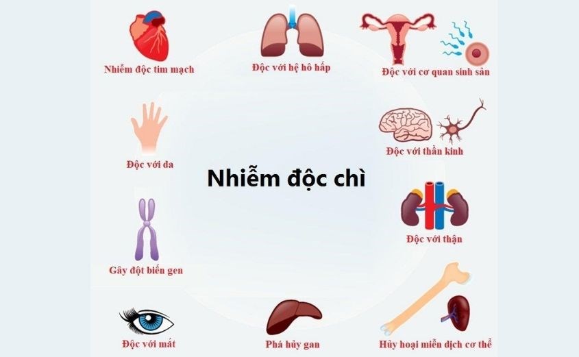 Nhiễm độc chì