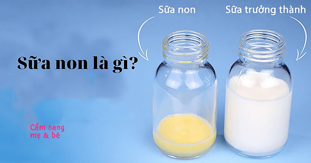 Sữa non là gì? Uống sữa non có tác dụng gì