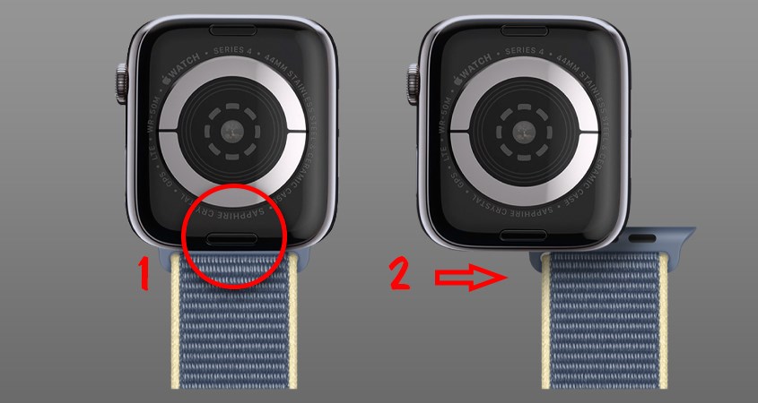 Nút tháo dây ở mặt dưới đồng hồ