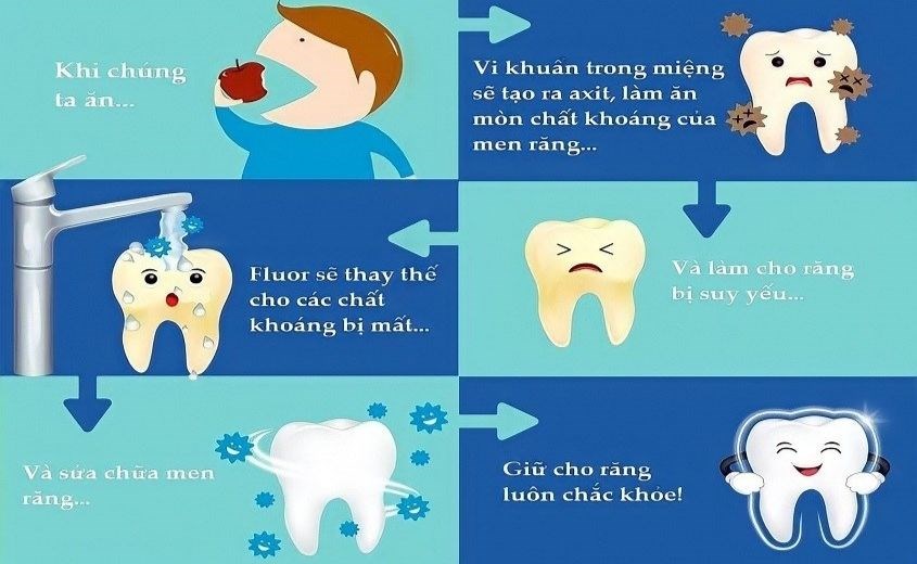 Fluoride là thành phần quan trọng trong kem đánh răng