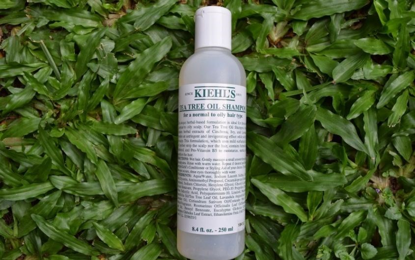 Kiehl’s Tea Tree Shampoo 