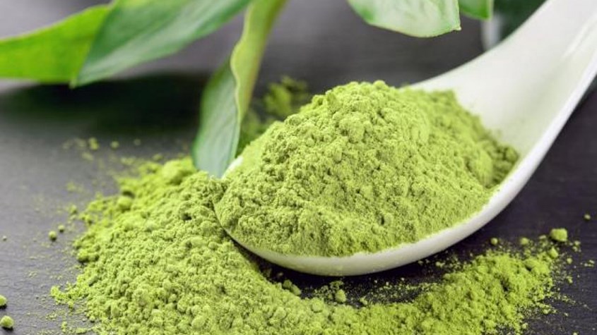 Trà xanh giúp hơi thở thơm mát, chống lại vi khuẩn răng miệng