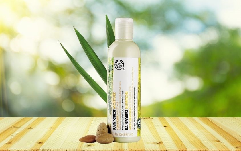 Rainforest Balance Shampoo 