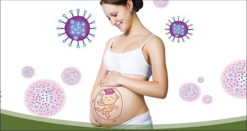 Tăng cường sức đề kháng cho mẹ bầu