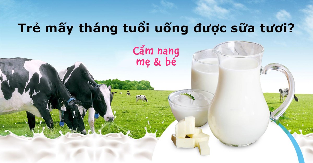 Trẻ mấy tháng tuổi uống được sữa tươi? Nên uống bao nhiêu là phù hợp?