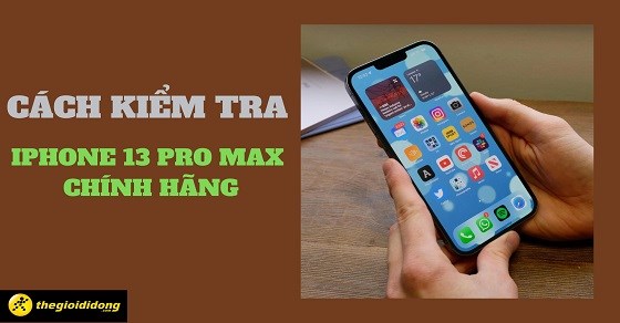 6 Cách Kiểm Tra Iphone 13 Pro Max Chính Hãng Mà Bạn Nên Biết -  Thegioididong.Com