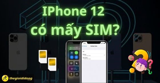 iPhone 12 Pro Max có hỗ trợ eSIM không?
