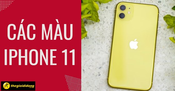 Mách bạn các màu iPhone 11 - Có hay không nên mua ở thời điểm này