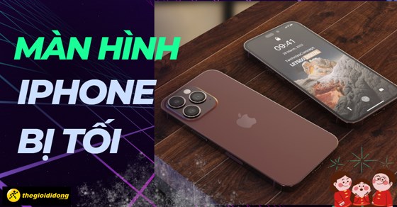 6 Nguyên Nhân Và 6 Cách Khắc Phục Tình Trạng Màn Hình Iphone Bị Tối -  Thegioididong.Com