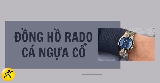 Đồng hồ Rado cá ngựa cổ: giá cả, mẫu sản phẩm nổi bật. Có tốt không?