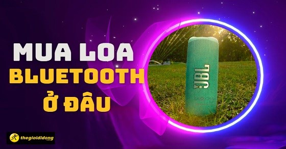 Nên mua loa Bluetooth ở đâu? Tiêu chí chọn loa Bluetooth chất lượng