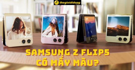 Samsung Z Flip5 có mấy màu? Màu nào đẹp nhất hiện nay