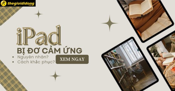iPad bị đơ cảm ứng: Nguyên nhân và cách khắc phục nhanh chóng