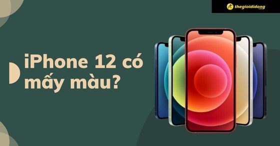 iPhone 12 có mấy màu? Màu nào đẹp? Bảng màu iPhone 12 mới nhất