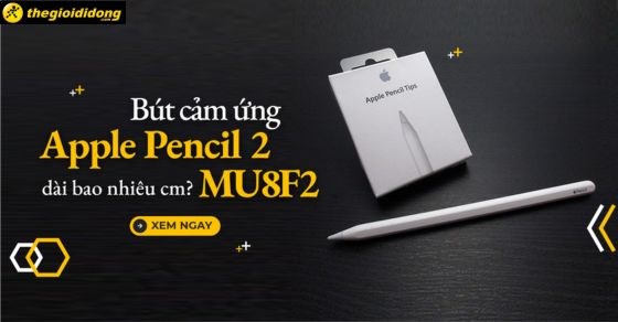 Bút cảm ứng Apple Pencil 2 MU8F2 dài bao nhiêu cm?