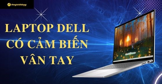 TOP 10 laptop Dell có cảm biến vân tay, an toàn tuyệt đối nên mua nhất