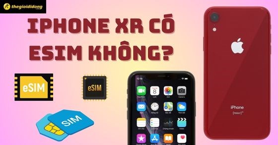 iPhone Xr có ESIM không? Có mấy SIM? Nên dùng SIM nào?