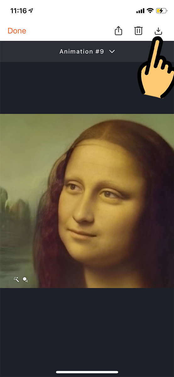  clip hiệu ứng chuyển động khu&ocirc;n mặt