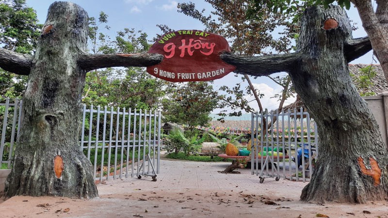 Vườn trái cây 9 Hồng