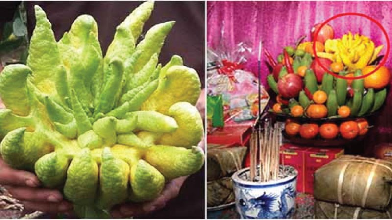 Phật thủ